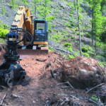 La Procura ha accertato tagli abusivi nel bosco