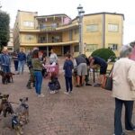 Microchippatura gratuita dei cani in piazza Sant’Eurosia