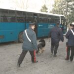 Controlli dei Carabinieri: denunce e sanzioni