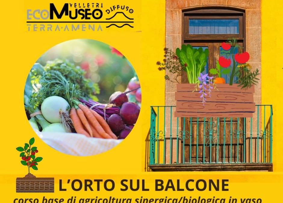 “L’orto sul balcone”, corso base di agricoltura domestica in vaso con l’Ecomuseo di Velletri