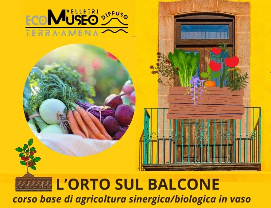 “L’orto sul balcone”, corso base di agricoltura domestica in vaso con l’Ecomuseo di Velletri