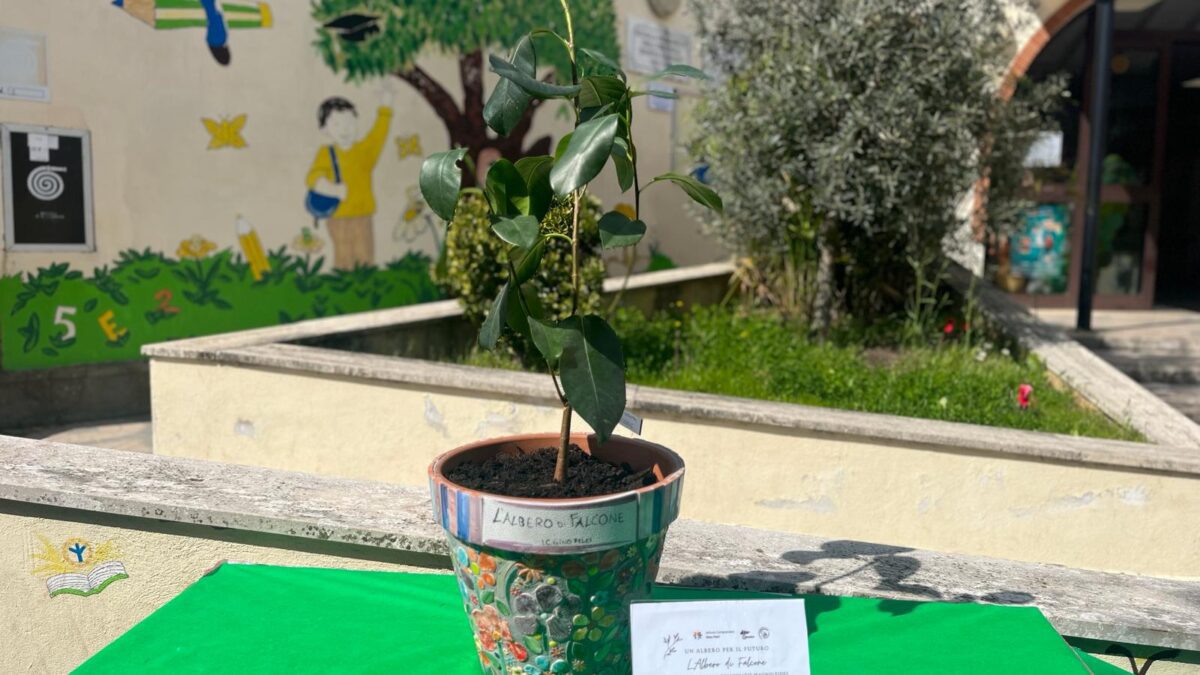 Un albero per il futuro alla Scuola Zarfati di Velletri