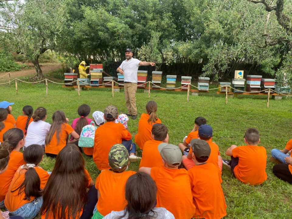 Giornata Mondiale delle api per il Plesso scolastico Zarfati di Velletri