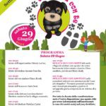 Un evento sull'adozione dei cani