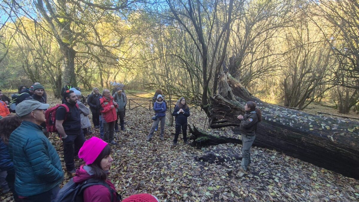 Per la Festa dell'Albero, un sabato mattina al Bosco del Cerquone insieme ai Guardiaparco del Parco dei Castelli