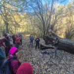 Per la Festa dell'Albero, un sabato mattina al Bosco del Cerquone insieme ai Guardiaparco del Parco dei Castelli