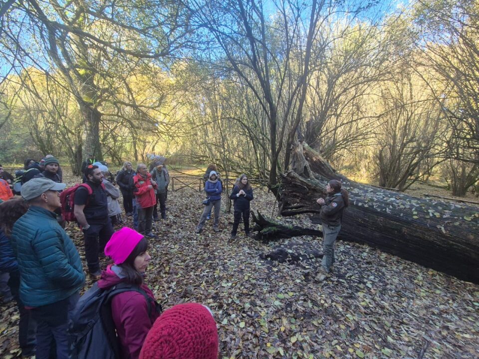 Per la Festa dell'Albero, un sabato mattina al Bosco del Cerquone insieme ai Guardiaparco del Parco dei Castelli