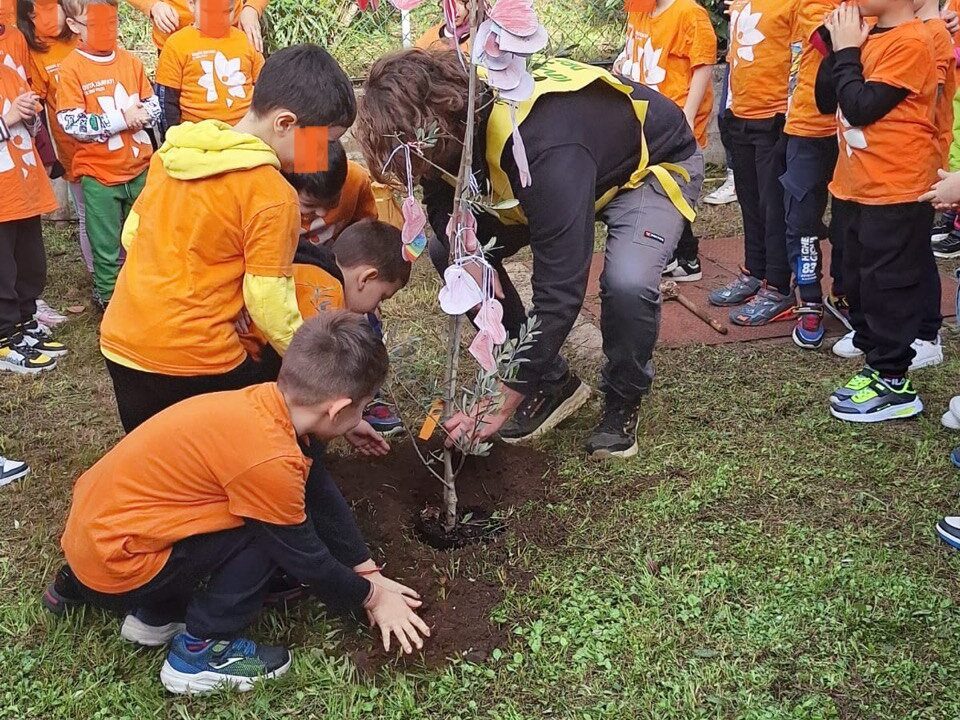 Piantato un nuovo albero d'ulivo alla scuola Zarfati-Carciano