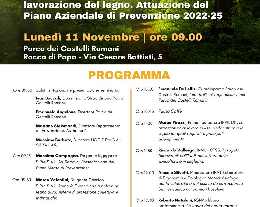 Seminario sul Piano di Prevenzione degli Infortuni e delle Malattie Professionali nel Settore della Silvicoltura e Lavorazione del Legno