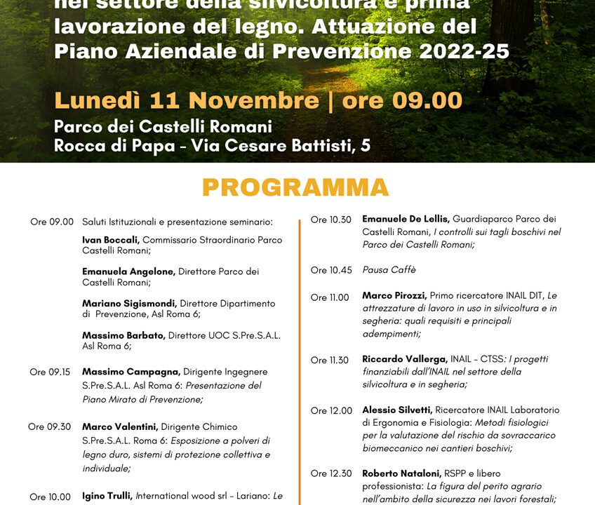 Seminario sul Piano di Prevenzione degli Infortuni e delle Malattie Professionali nel Settore della Silvicoltura e Lavorazione del Legno