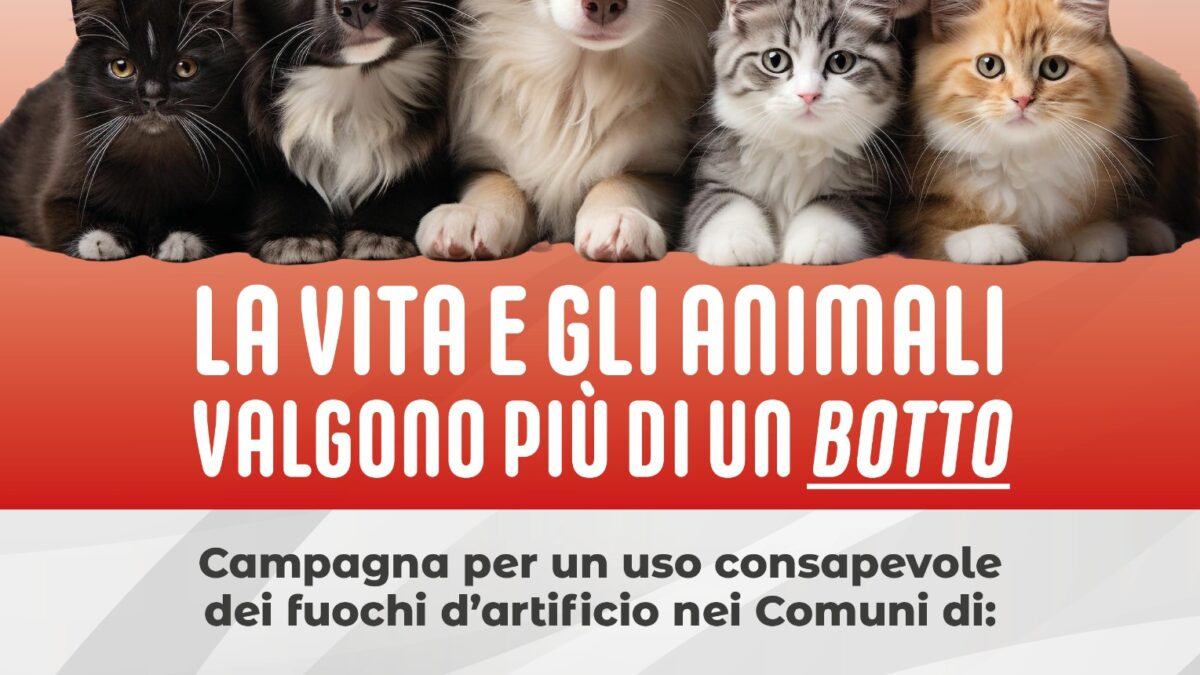 "La vita e gli animali valgono più di un botto": aderiscono anche i Comuni di Velletri e Lariano