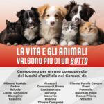 "La vita e gli animali valgono più di un botto": aderiscono anche i Comuni di Velletri e Lariano