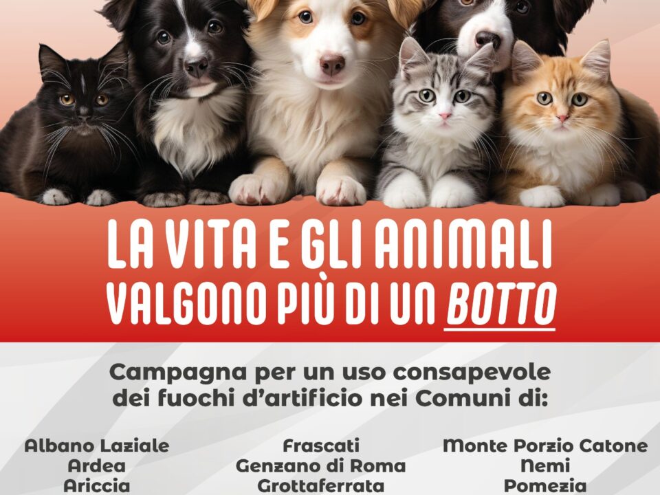 "La vita e gli animali valgono più di un botto": aderiscono anche i Comuni di Velletri e Lariano