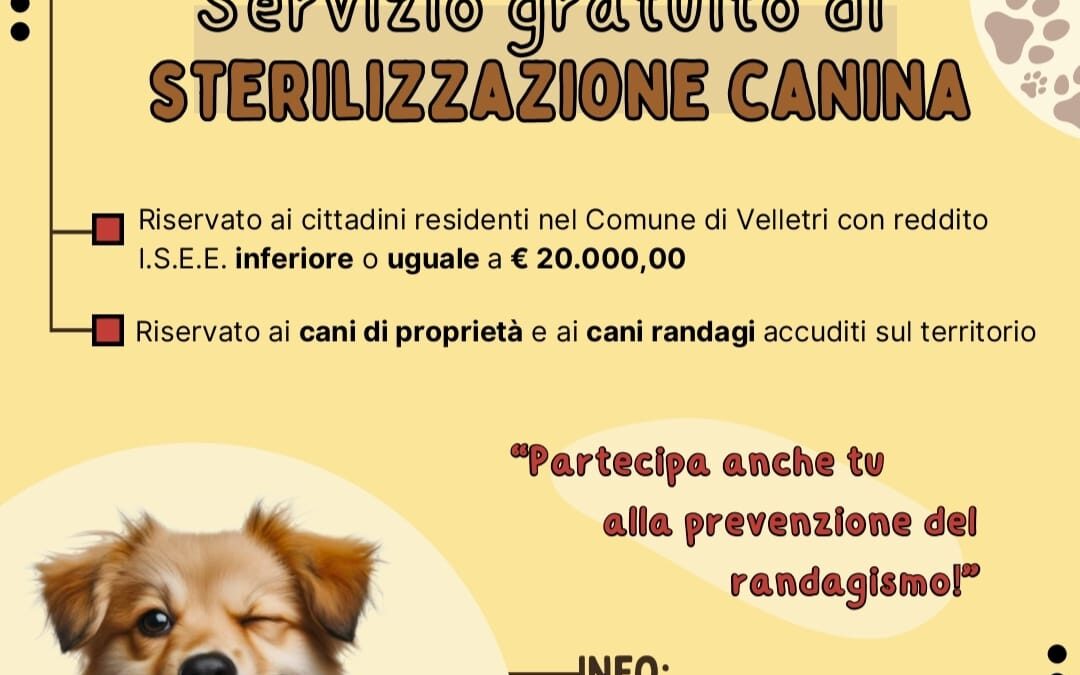 Progetto di sterilizzazione gratuita per i cani vaganti e di proprietà per il 2025-2026