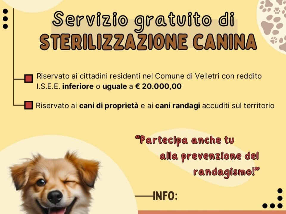 Progetto di sterilizzazione gratuita per i cani vaganti e di proprietà per il 2025-2026