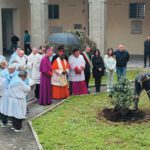 Nel chiostro della Cattedrale di San Clemente: la Camelia della Speranza