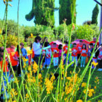 La scuola “Zarfati” ricorda la piccola Francesca Manciocchi